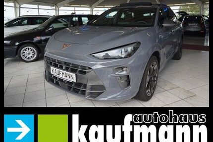 Cupra Terramar Gebrauchtwagen