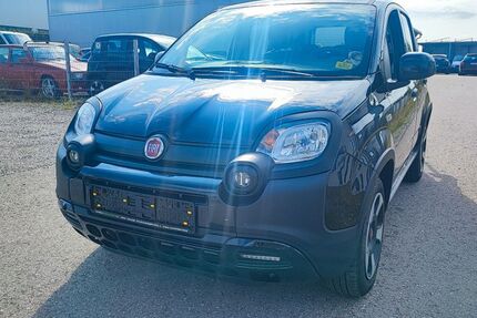 Fiat Panda Gebrauchtwagen