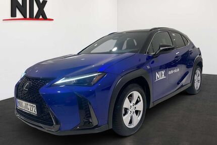Lexus UX Gebrauchtwagen
