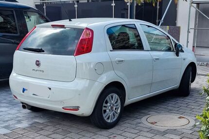 Fiat Punto Gebrauchtwagen