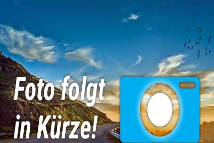 Smart #1 Gebrauchtwagen