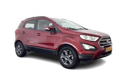 Ford EcoSport Gebrauchtwagen