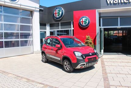 Fiat Panda Gebrauchtwagen