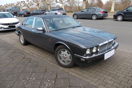 Jaguar XJ40 Gebrauchtwagen