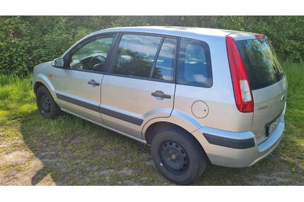 Ford Fusion Gebrauchtwagen