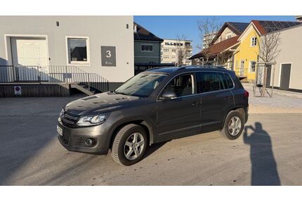 VW Tiguan Gebrauchtwagen