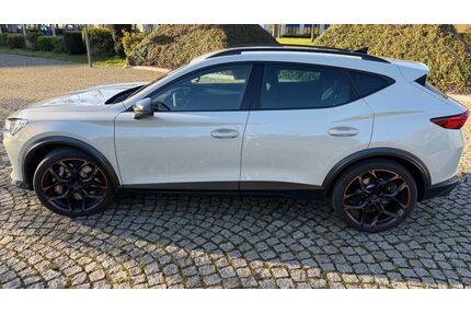 Cupra Formentor Gebrauchtwagen