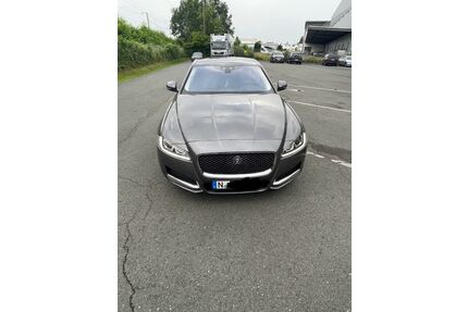 Jaguar XF Gebrauchtwagen