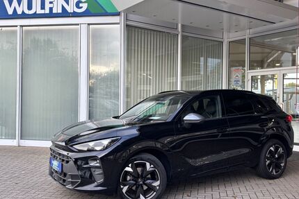 Cupra Terramar Gebrauchtwagen