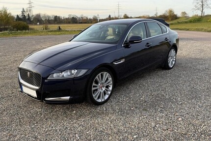 Jaguar XF Gebrauchtwagen