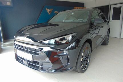 Cupra Terramar Gebrauchtwagen