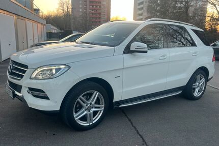 Mercedes-Benz ML 250 Gebrauchtwagen