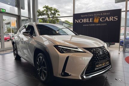 Lexus UX Gebrauchtwagen