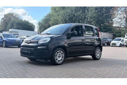 Fiat Panda Gebrauchtwagen