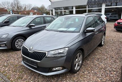 Skoda Fabia Gebrauchtwagen