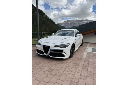 Alfa Romeo Giulia Gebrauchtwagen