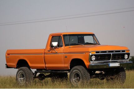 Ford F 100 Gebrauchtwagen