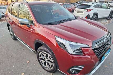 Subaru Forester Gebrauchtwagen