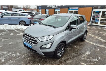 Ford EcoSport Gebrauchtwagen
