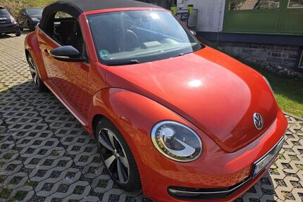 VW Beetle Gebrauchtwagen