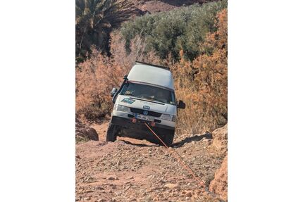 VW T4 Caravelle Gebrauchtwagen