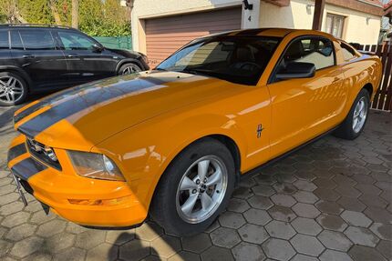 Ford Mustang Gebrauchtwagen
