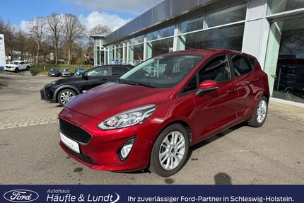 Ford Fiesta Gebrauchtwagen