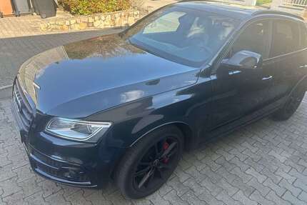 Audi SQ5 Gebrauchtwagen