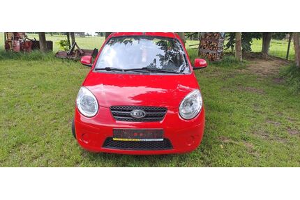 Kia Picanto Gebrauchtwagen