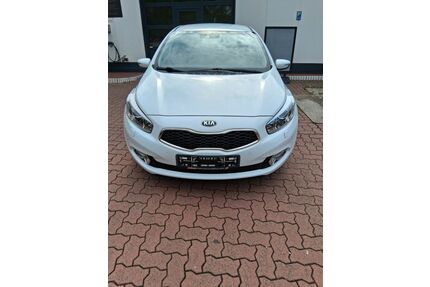 Kia ceed / Ceed Gebrauchtwagen