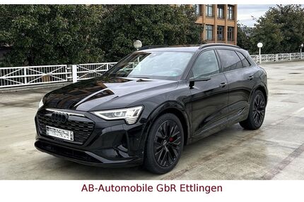 Audi Q8 e-tron Gebrauchtwagen