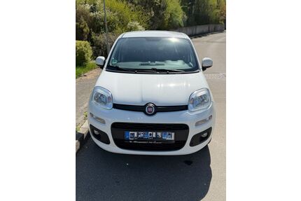 Fiat Panda Gebrauchtwagen