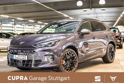 Cupra Terramar Gebrauchtwagen