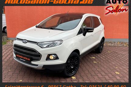 Ford EcoSport Gebrauchtwagen