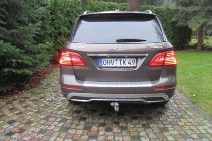 Mercedes-Benz ML 250 Gebrauchtwagen