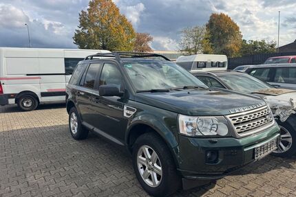 Land Rover Freelander Gebrauchtwagen