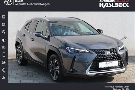 Lexus UX Gebrauchtwagen