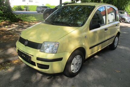 Fiat Panda Gebrauchtwagen