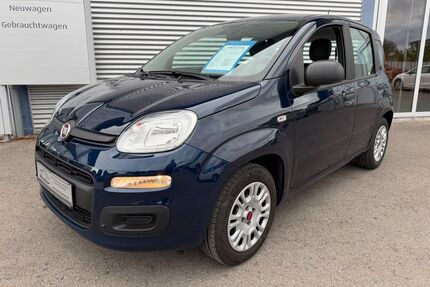 Fiat Panda Gebrauchtwagen
