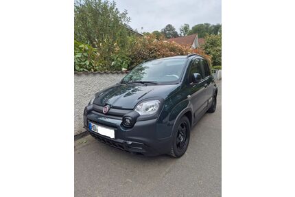 Fiat Panda Gebrauchtwagen