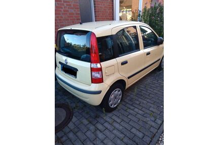 Fiat Panda Gebrauchtwagen