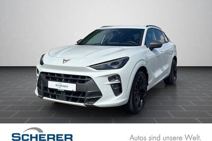 Cupra Terramar Gebrauchtwagen