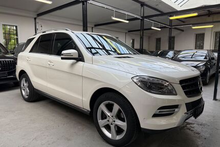 Mercedes-Benz ML 250 Gebrauchtwagen