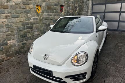 VW Beetle Gebrauchtwagen