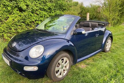 VW Beetle Gebrauchtwagen