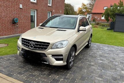 Mercedes-Benz ML 350 Gebrauchtwagen