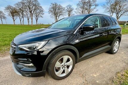 Opel Grandland (X) Gebrauchtwagen