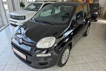 Fiat Panda Gebrauchtwagen