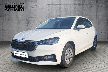 Skoda Fabia Gebrauchtwagen
