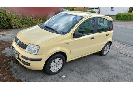 Fiat Panda Gebrauchtwagen